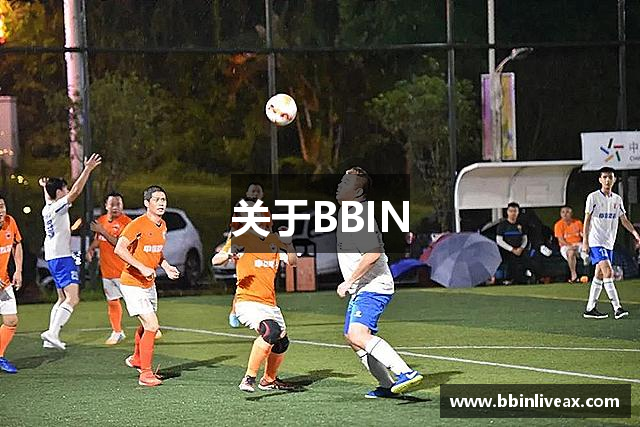关于BBIN
